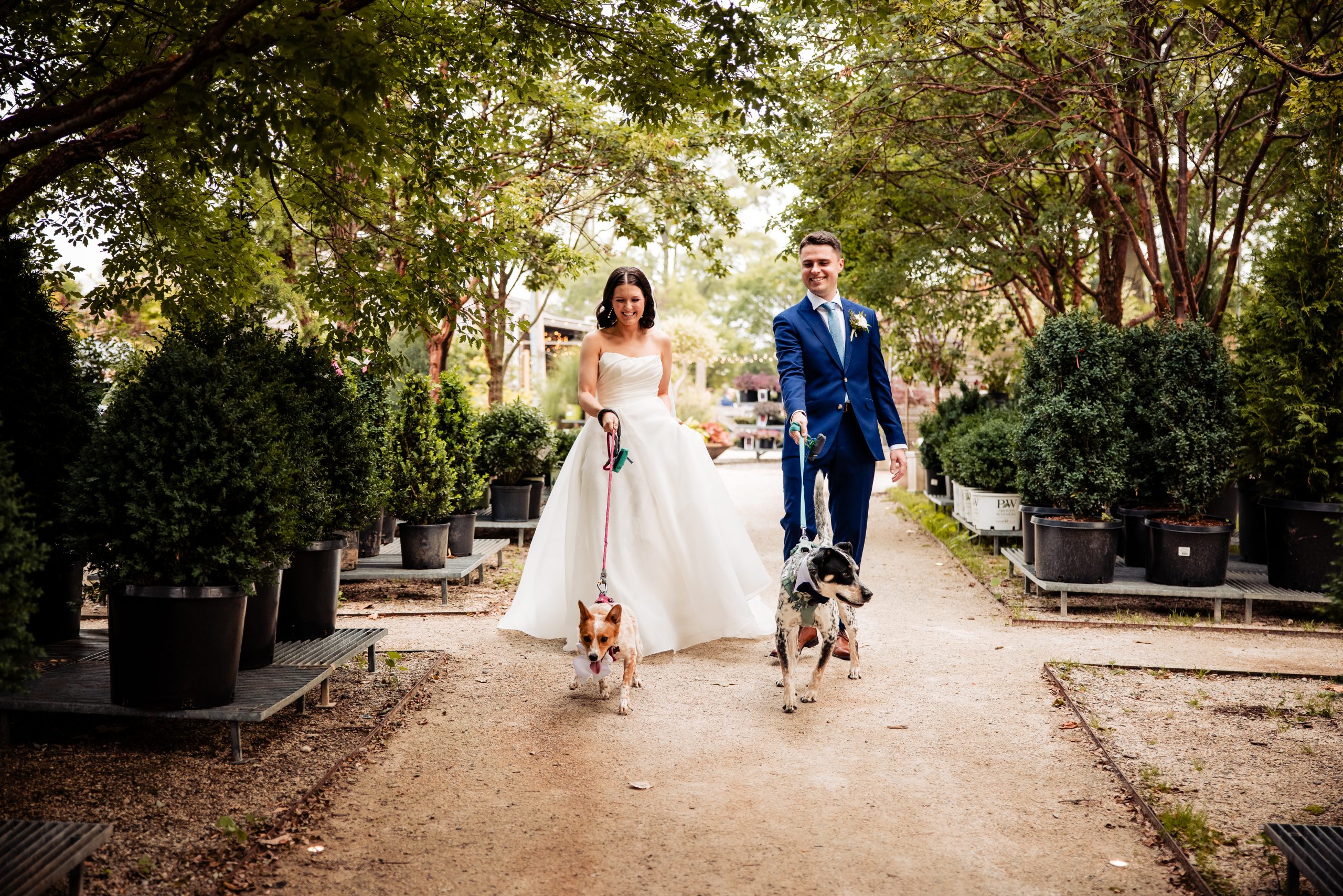 2025-06-13 Marissa-Shane Wedding-0696